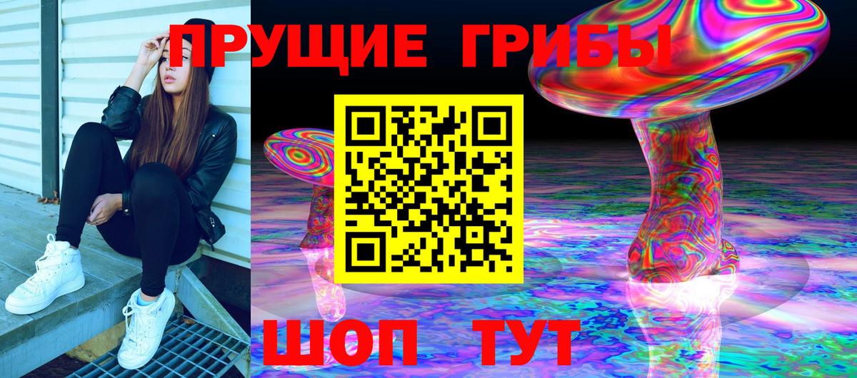 Псилоцибиновые грибы ЛСД  закладки  Сатка  Вход с VPN 